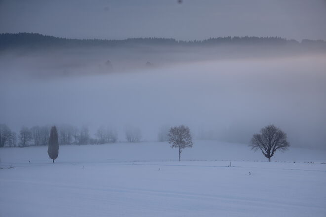 Winter