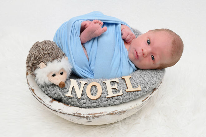 Noel