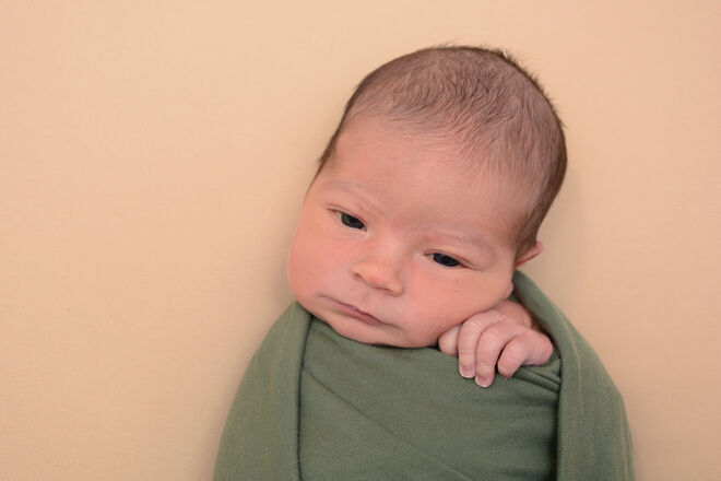 Raphael David