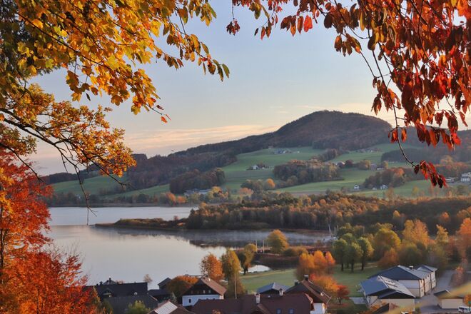 Obertrum mit herbstlichem Rahmen