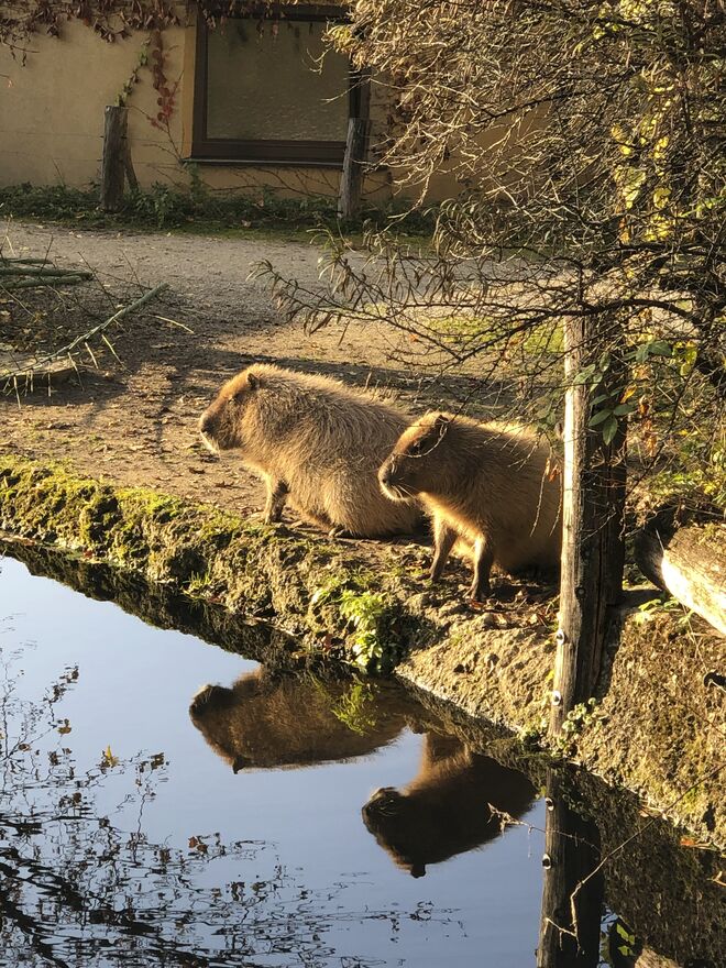 Meditation in der Sonne