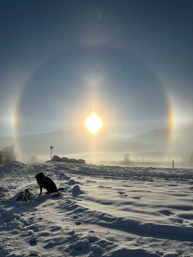 Halo