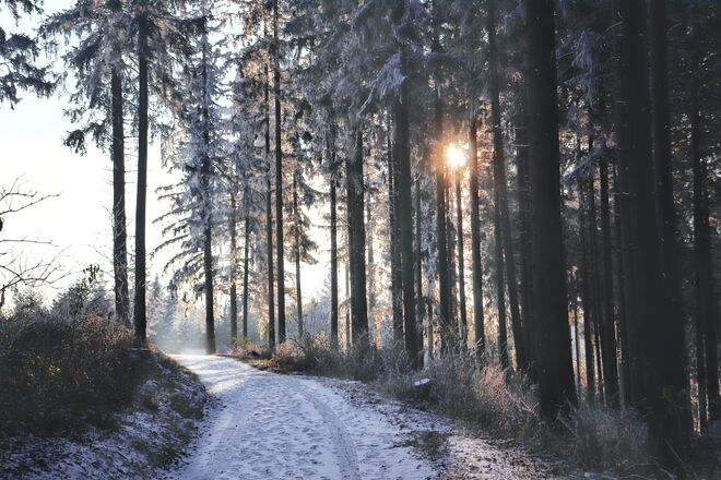Winterwunderland