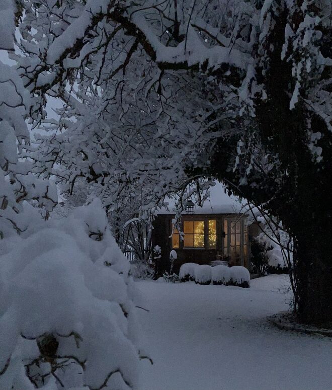 Weihnachtsgarten