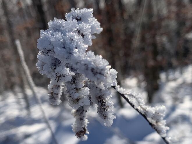 Natur