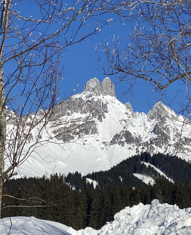 Frühling - Winter