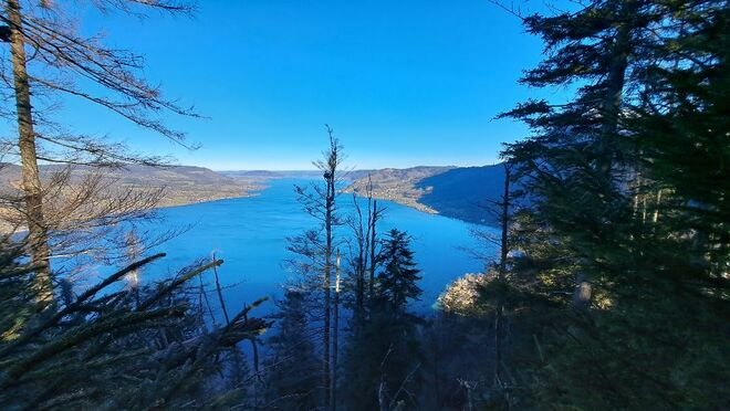 Panoramablick auf den herrlich blauen Attersee