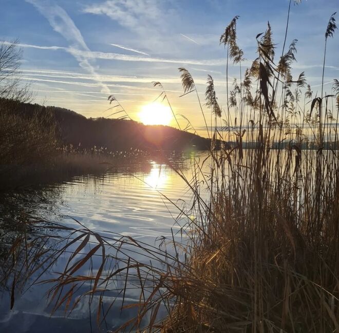 Bevor die Sonne untergeht