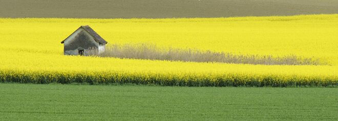Frühlingsfarben