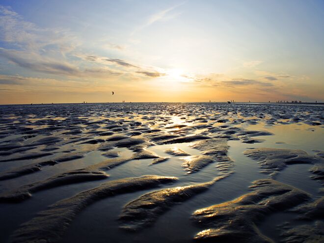 Wattmeer
