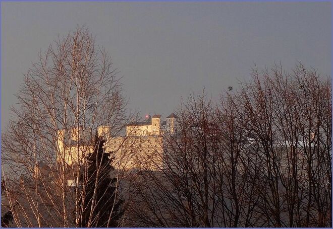 Abendlicht noch ohne Amsellieder