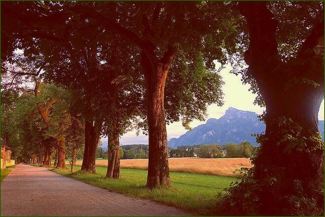 In der Hellbrunner Allee