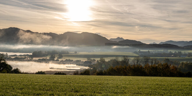 Am Wallersee 29.10.2023