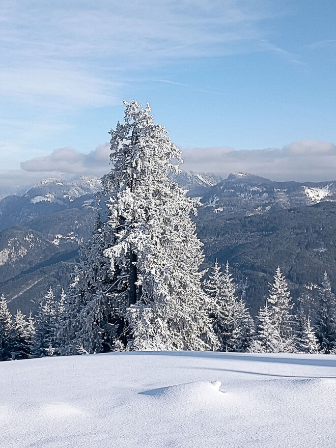 Frozen.....Winter am Berg
