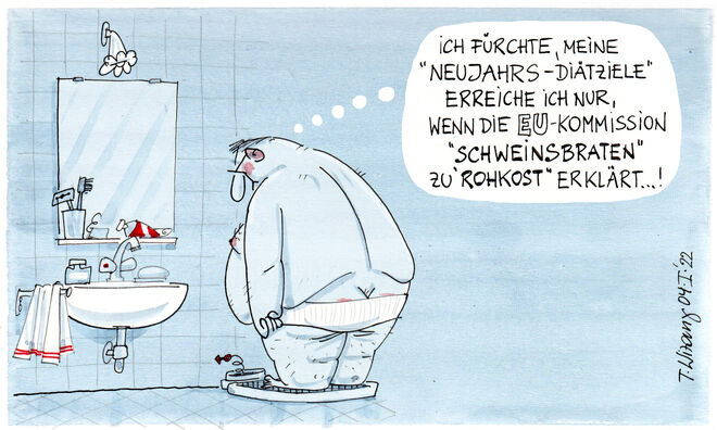 Anspruch und Machbarkeit. . .