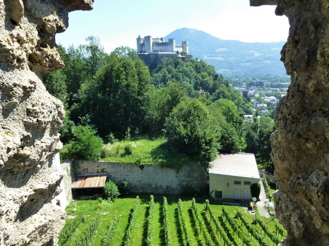 Aus der Schießscharte