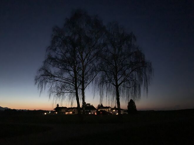 Eine Stille Nacht