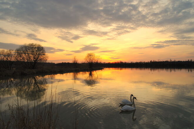 "PAARLAUF IN DER ABENDSONNE"