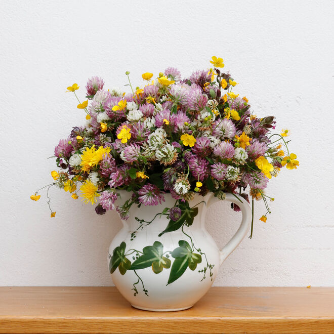Wiesenblumen