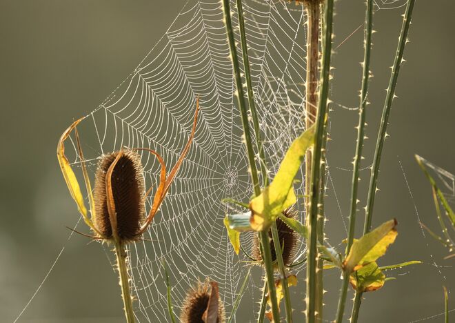 Herbst???