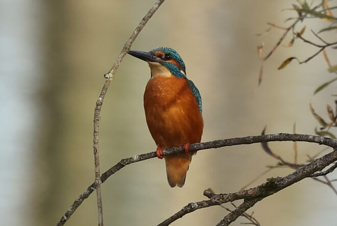 Der blaue Blitz vor dem Abflug