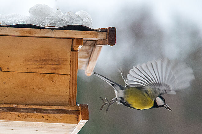 schneller Abflug