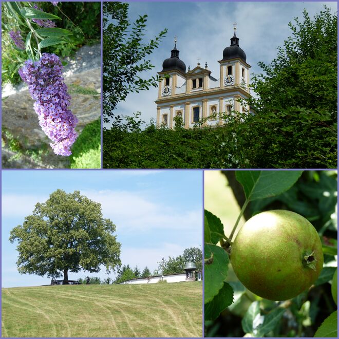 Spaziergang nach Maria Plain