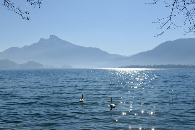 Schau - der Schafberg!