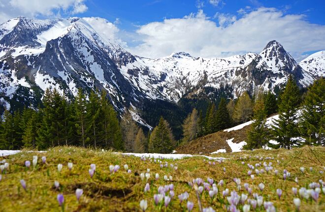 Der Frühling schleicht sich langsam an