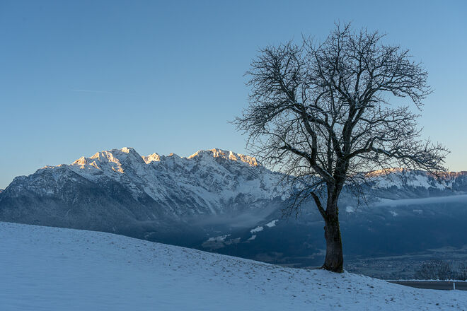 Talblick