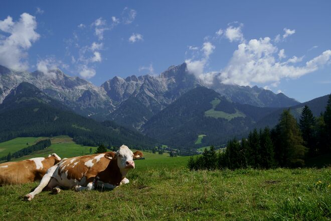 Hier scheint die Welt noch in Ordnung zu sein..