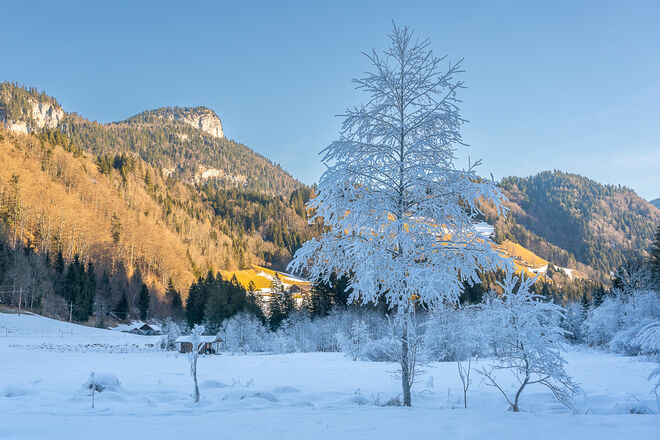 Sonn- und Schattenseite