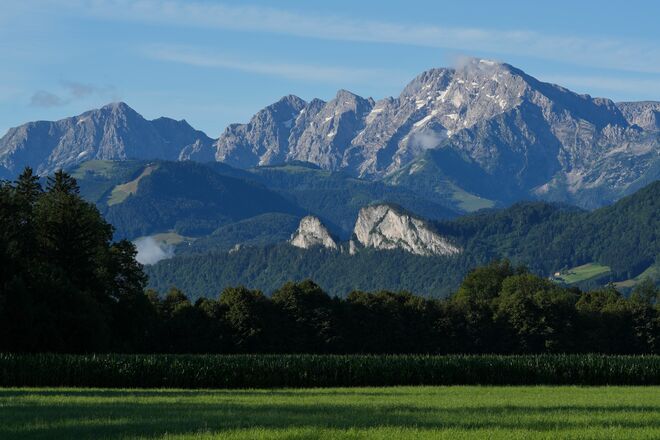 Ein herrlicher Sommermorgen