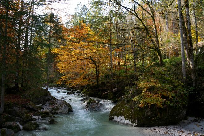 Jetzt zeigt sich der Herbst von der schönsten Seite