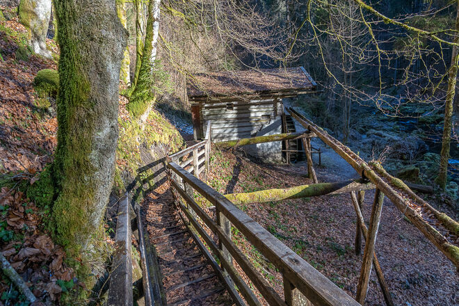 Müllerslust