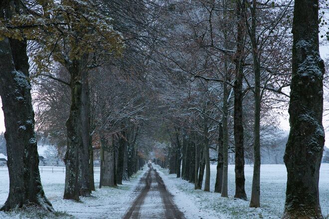 Winterromantik in der Hellbrunner Allee