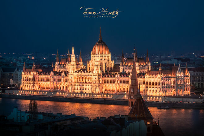 The Parliament