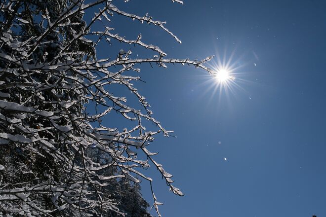 Winterfeeling...