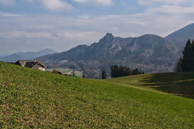 Ein Blick auf den Nockstein und den 380 KV Strommasten