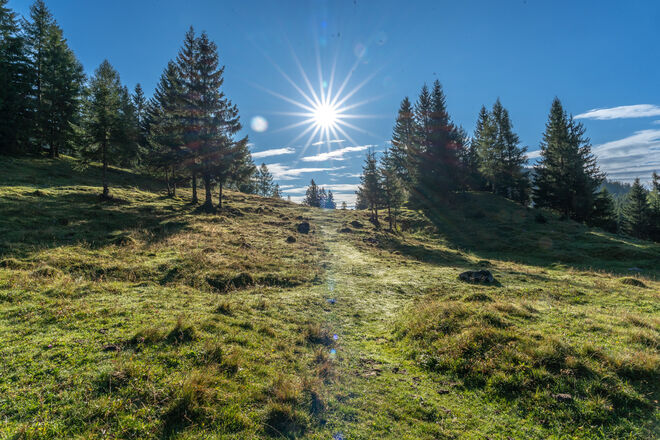 Der Sonne entgegen