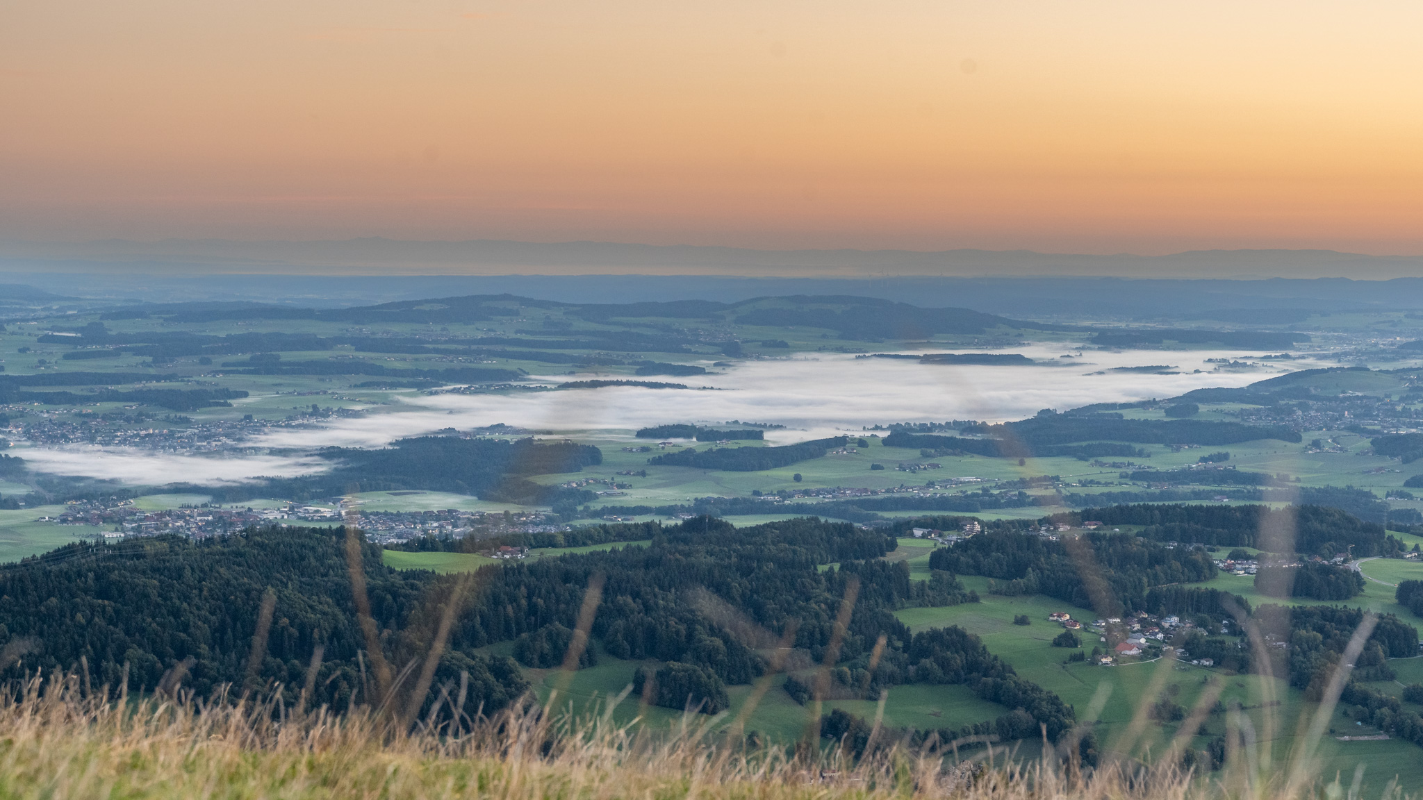Nebel über dem Wallersee