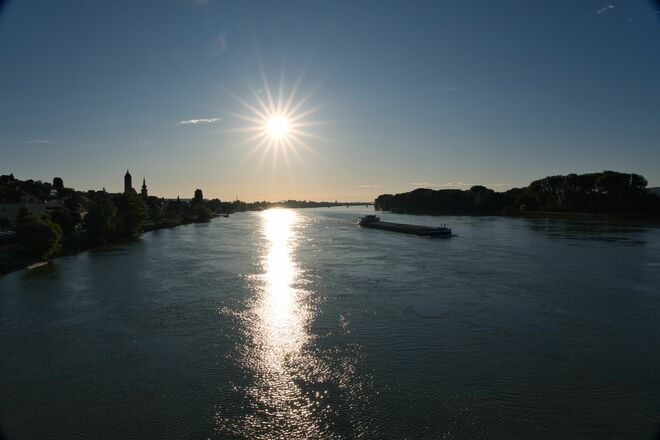 Früh am Morgen an der Donau