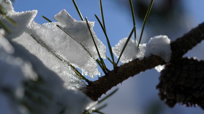 Wunderbare Schneekristalle...