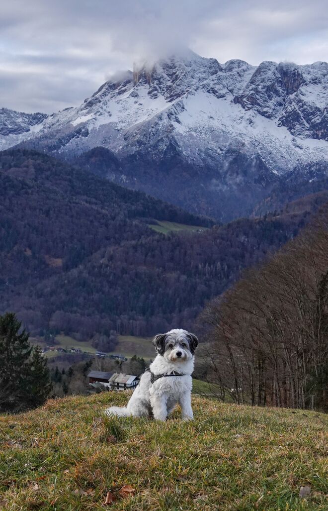 Winterbild Richterhöhe