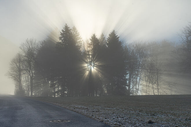 Kampf gegen den Nebel