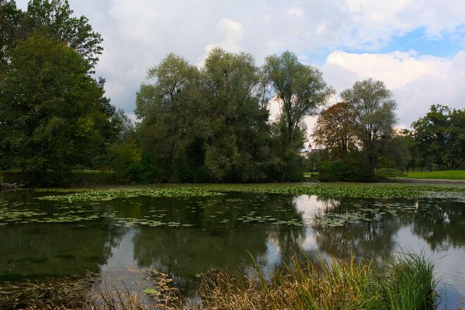 Herbstliche Stimmung am NAWI - Weiher