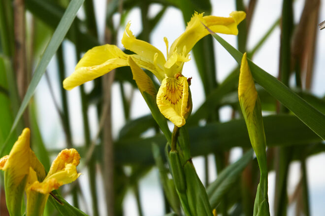 ein schöner Anblick