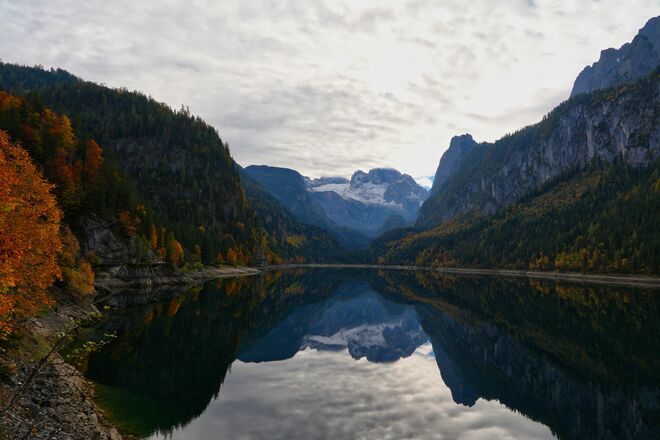 Dachsteinblick...