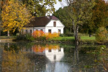 Der Herbst mit seinen Farbpaletten..