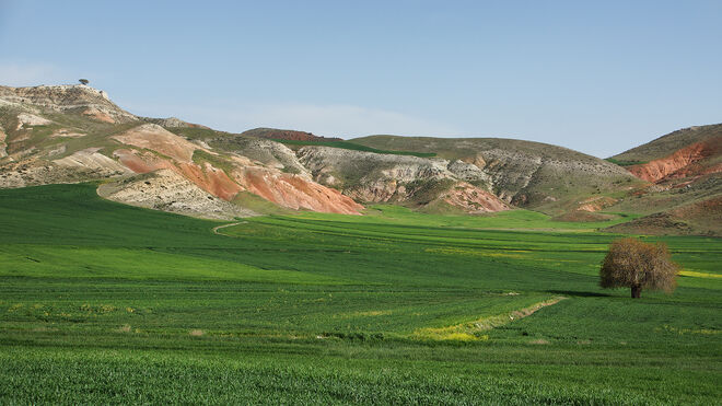 Frühling in Nallıhan, Ankara Prov.